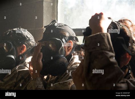 U S Marine Corps Recruits With November Company 4th Battalion