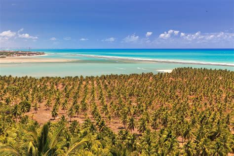 Praia Do Gunga Macei Alagoas