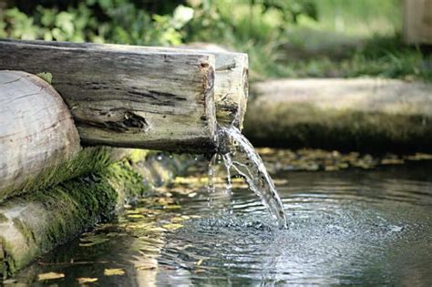 Родниковая водя не всегда полезна. Не рискуйте, выбирайте воду с доставкой