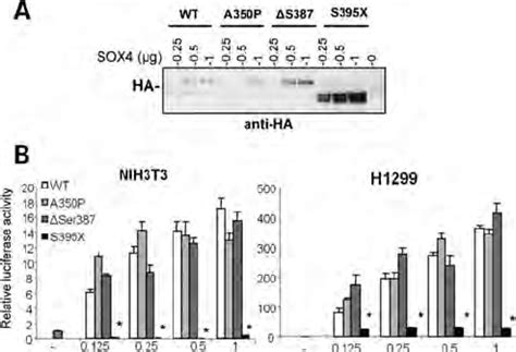 Transactivation and transforming ability of overexpressed wildtype and ... 