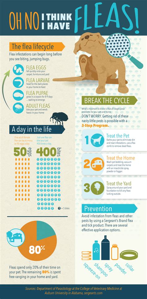 Infographic Facts About Fleas & Ticks on Your Pet | Fleas, Flea remedies, Pet health