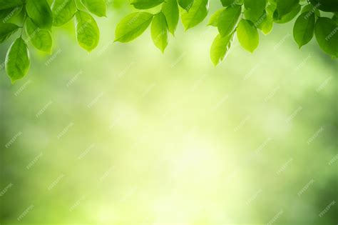 88 Background Green Nature Hd Picture - MyWeb