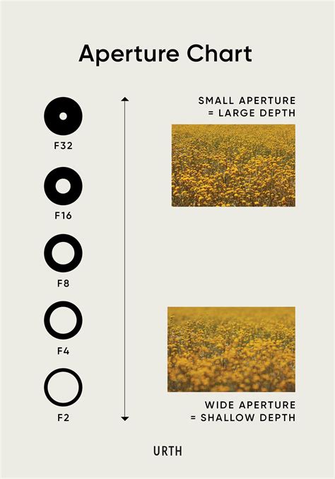 A quick guide to aperture examples photos – Artofit