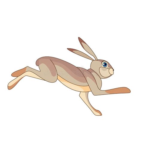 Running Rabbit Stock Vector Illustration Of Animal Active 19791666