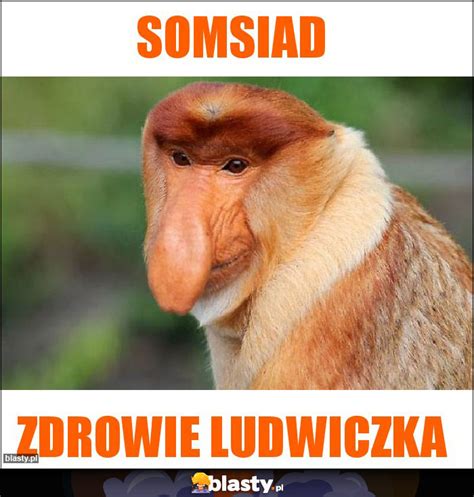 Somsiad Memy Gify I Mieszne Obrazki Facebook Tapety Demotywatory