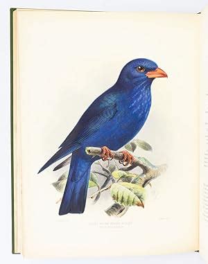 A MONOGRAPH OF THE CORACIIDAE, OR FAMILY OF THE ROLLERS by (ORNITHOLOGY ...