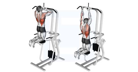 Assisted Parallel Close Grip Pull Up Guide Benefits And Form