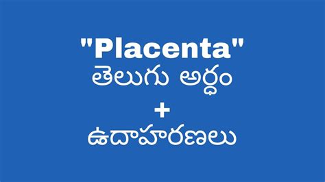 Placenta Meaning In Telugu With Examples Placenta