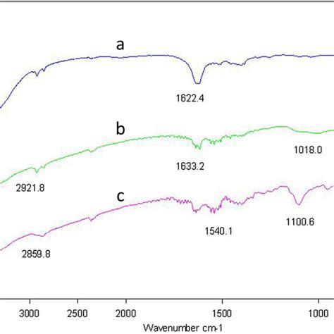 Ftir Spectra Of Mnps A Mnps Aptes B And Mnps Aptes Peg C