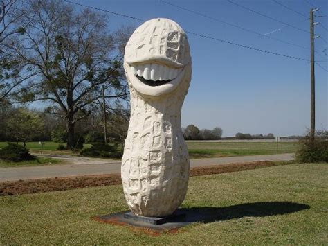 Jimmy Carter Peanut Plains Ga Picture Of Jimmy Carter Peanut Of