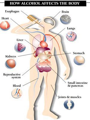 Recognizing the Long Term Health Effects of Alcohol Abuse