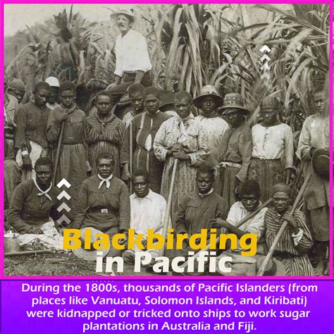Dose - In the 1800s, thousands of Pacific Islanders from Vanuatu
