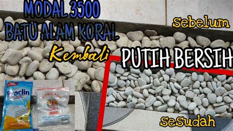 Cara Membersihkan BATU KORAL PUTIH Jadi Seperti Baru MUDAH Dan