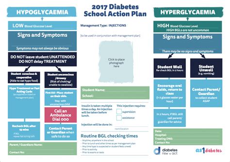 2017 Diabetes Injections School Action Plan Australia