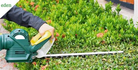 Best Electric Hedge Trimmers For Your Yard Eden Lawn Care And Snow