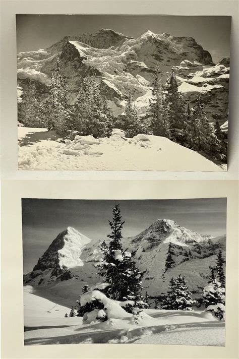 Fotos Photohaus Gabi Wengen Kaufen Auf Ricardo