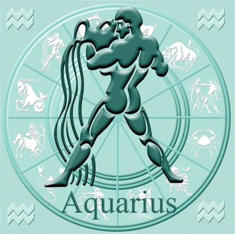 Descuento Fracci N Paleto Informaci N Sobre El Signo Acuario