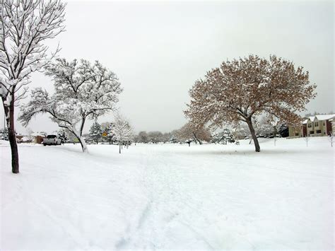 snowy park Free Photo Download | FreeImages