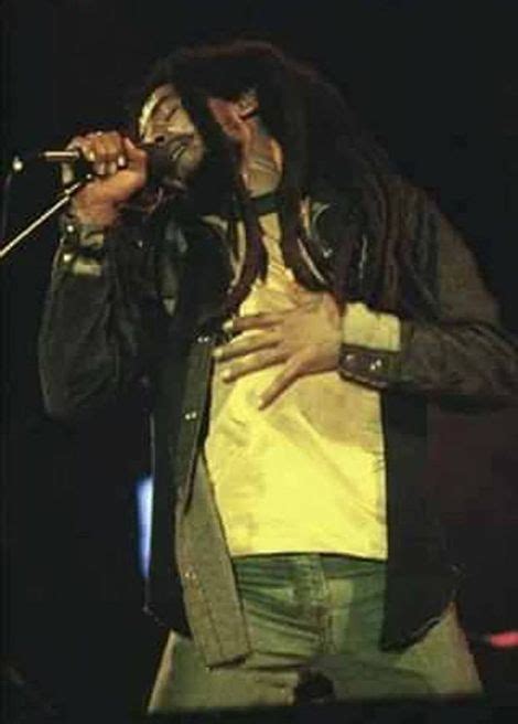 The King Of Reggae Bob Marley ChakaRastar Image Bob Marley Bob