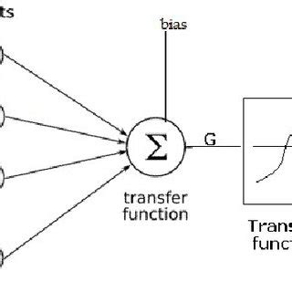 Artificial Neuron model | Download Scientific Diagram