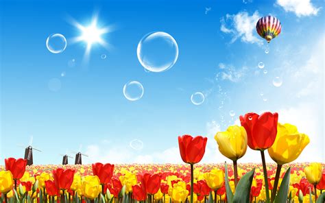 Tulip Field Balloon Sun Bubble Artistic 1920x1200 Hd