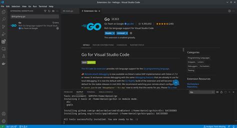 Getting Started With The Go Programming Language Golang Using Vs Code