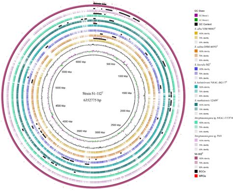 A Graphical Circular Map Of The Genome Performed With BRIG Comparison