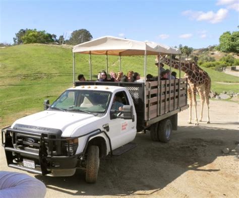 San Diego Safari Park Caravan Tour Review