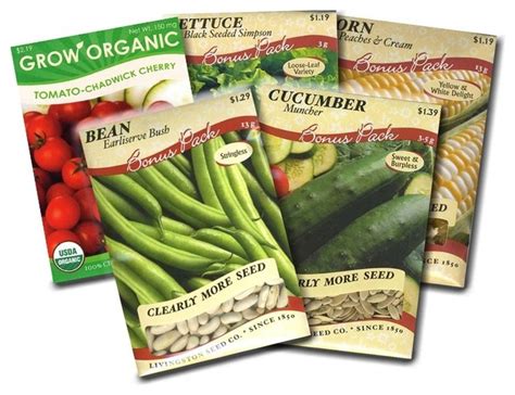 Garden Vegetable Seed Packets Corn Bean Cucumber Lettuce And Tomato Traditional Bulbs