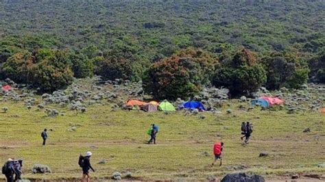 Jalur Pendakian Gunung Gede Pangrango Ditutup 3 Bulan Bertepatan Libur