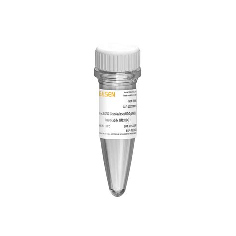 Uracil Dna Glycosylase Udg Ung Heat Labile Yeasen Biotechnology