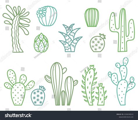 Cactus Collection Outline Vector Illustration Stock Vector (Royalty ...