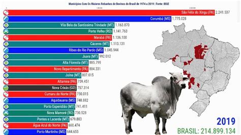 Os Maiores Rebanhos Bovinos no Brasil Municípios