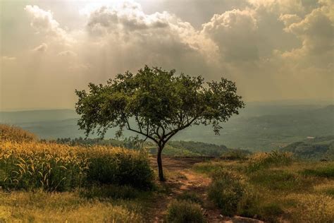 Kodikuthimala Watch Tower One Of The Coolest Hill Station In Malappuram District Surrounded By