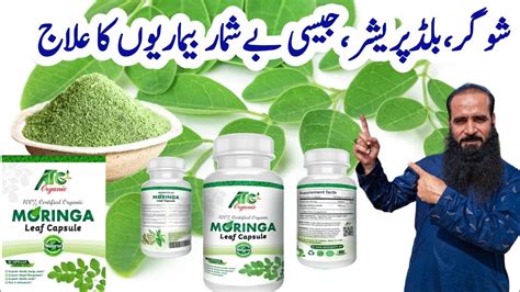 Moringa Powder Health Benefits Moringa Leaves Sohanjna Atcorganic