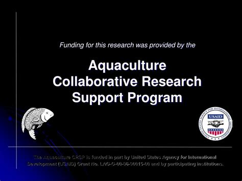 Ppt Use Of Fresh Bull And Hog Testis In Sex Reversal Of Nile Tilapia Fry Powerpoint