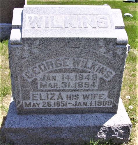 Eliza Worton Wilkins 1851 1909 Homenaje De Find A Grave