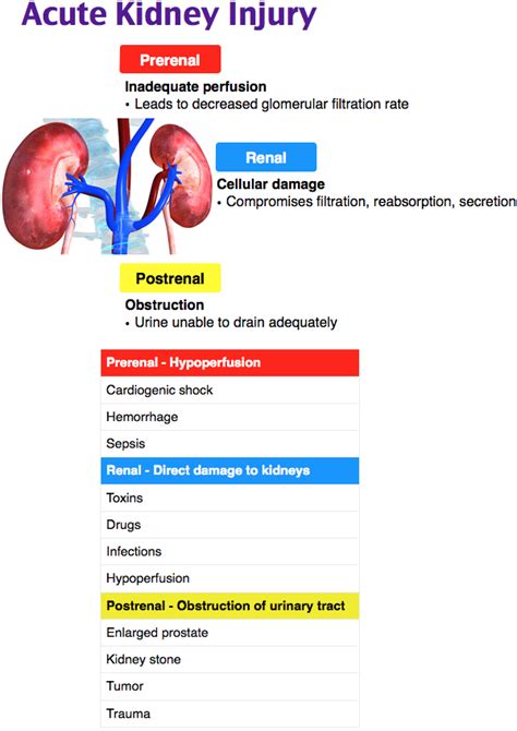 Rosh Review Aki Acute Kidney Injury Renal Dialysis Nurse