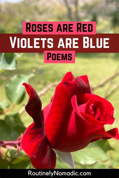 125 Best Roses Are Red Violets Are Blue Poems Jokes And Quotes