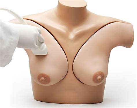 Gaumard Breast Phantom Simulator Pr Tica Brasil