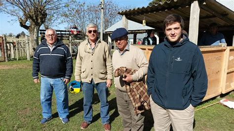 Paso Casildo Vendi Piezas De Cr A Lanares Palenque Agropecuario