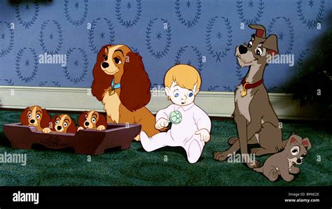 PUPPIES LADY BABY & TRAMP LADY AND THE TRAMP (1955 Stock Photo, Royalty Free Image: 30963366 - Alamy