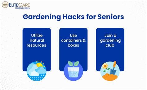 5 Easy Gardening Activities for Seniors | EliteCare HC