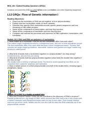 Understanding The Flow Of Genetic Information DNA Replication