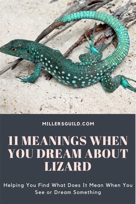 Meanings When You Dream About Lizard