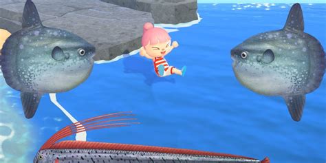 The Biggest Fish You Can Catch In Animal Crossing New Horizons