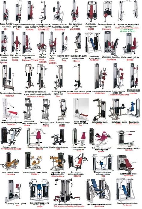 Basic Cardio Gym Equipment Names A Beginner s Guide - Cardio Workout ...