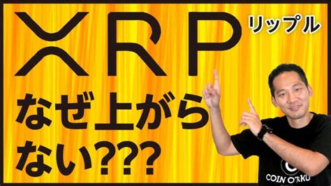 【xrp特集】xrpはなぜどうなったらいつ価格は上がる？販売停止や売買禁止の可能性も！ │ 金融情報のまとめ