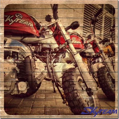 Skyteam E Cc Monkey Motorcycle Monkey Bike Dax Motorcycle Eec