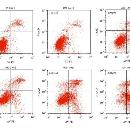 H O Treatment Induces Cell Apoptosis In A Dose Dependent Manner A